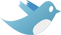 Twitter Bird